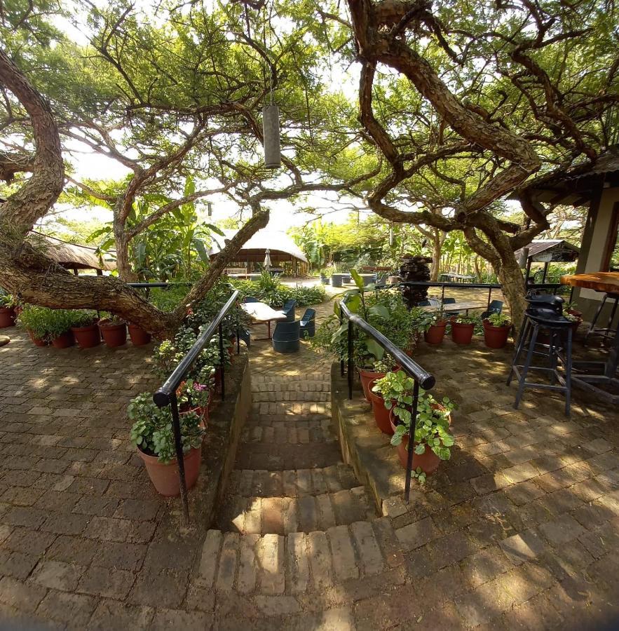 Ascot Bush Lodge Pietermaritzburg Exterior photo