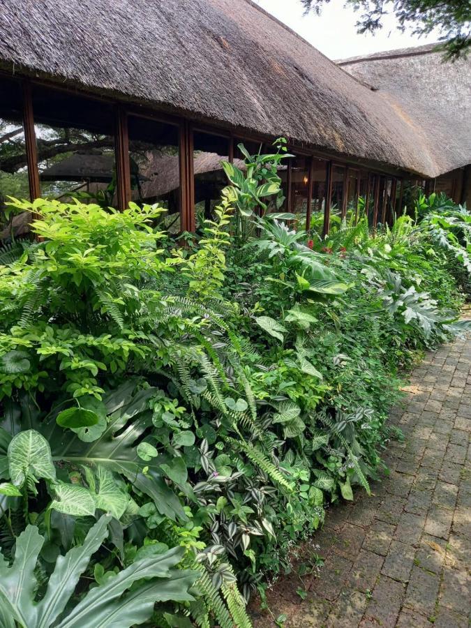 Ascot Bush Lodge Pietermaritzburg Exterior photo
